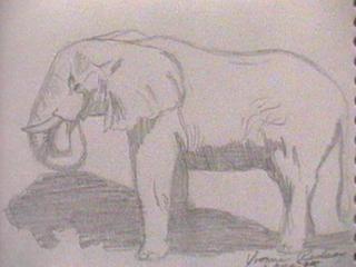 Elephant.jpg (10572 bytes)