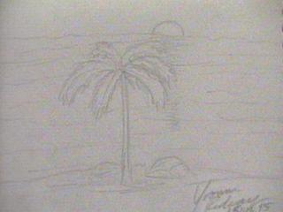 Palm.jpg (8863 bytes)