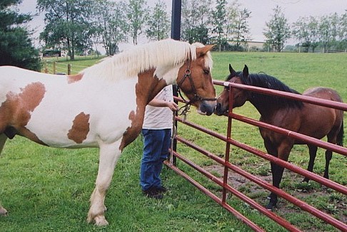 meeting cocoa for first time.JPG (73183 bytes)